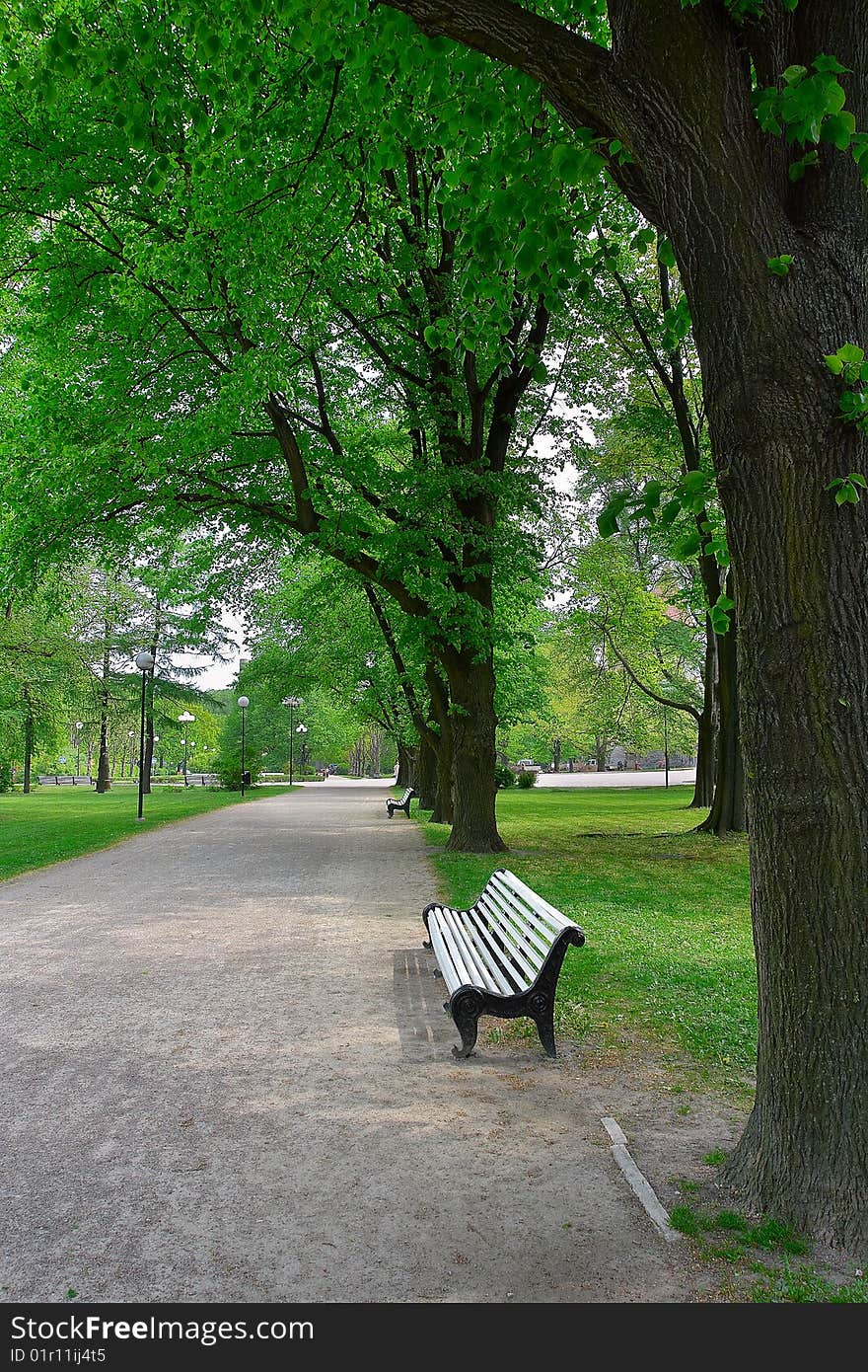 Spring Park in Old Tallinn