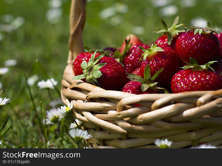 Basket with fresh,ripe strawberries