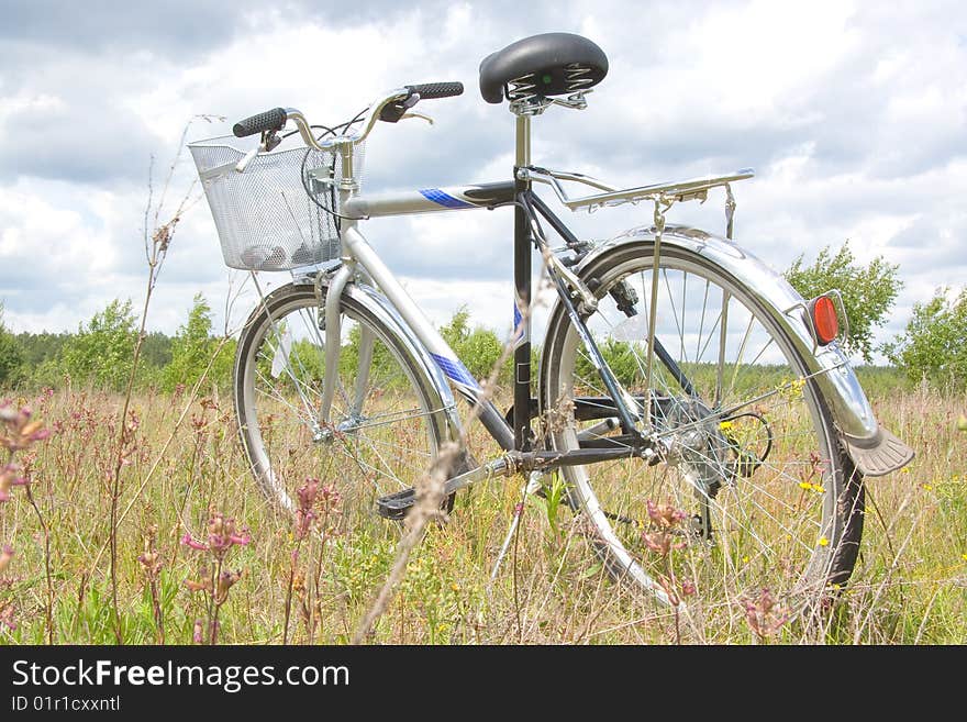 Bicycle stands on the meadow