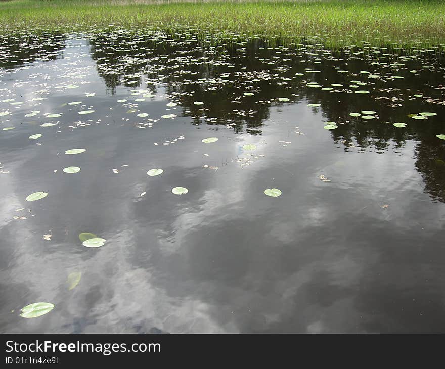 Reflected In The Water