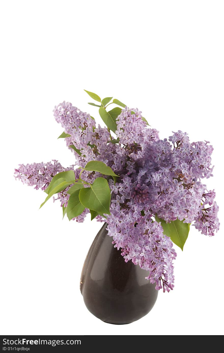 Bunch Of Lilac Flowers