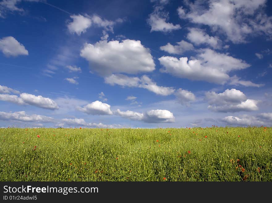 Green field and blue sky