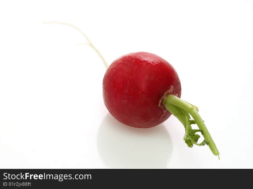 ONe fresh radish on white background