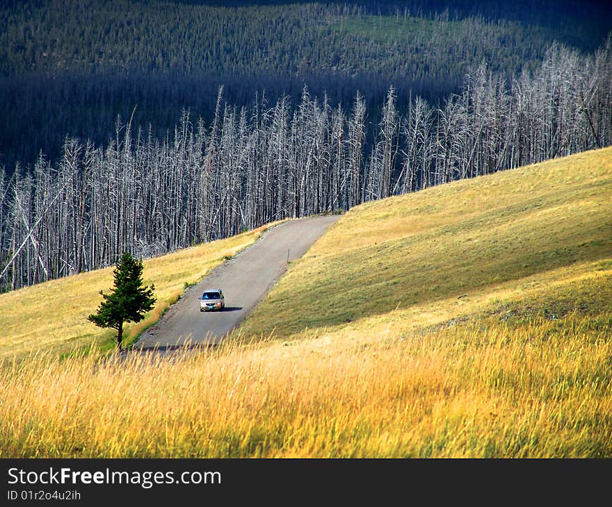 Car Drive On Country