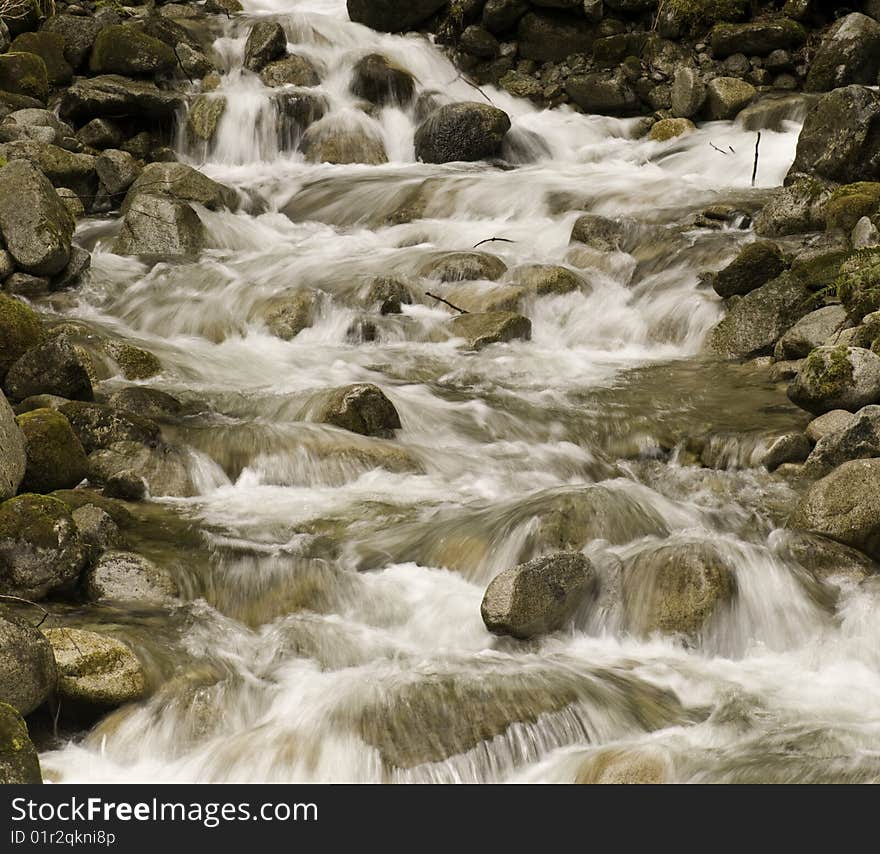 A stream in the Mt. Baker-Snoqualmie National Forest. A stream in the Mt. Baker-Snoqualmie National Forest.