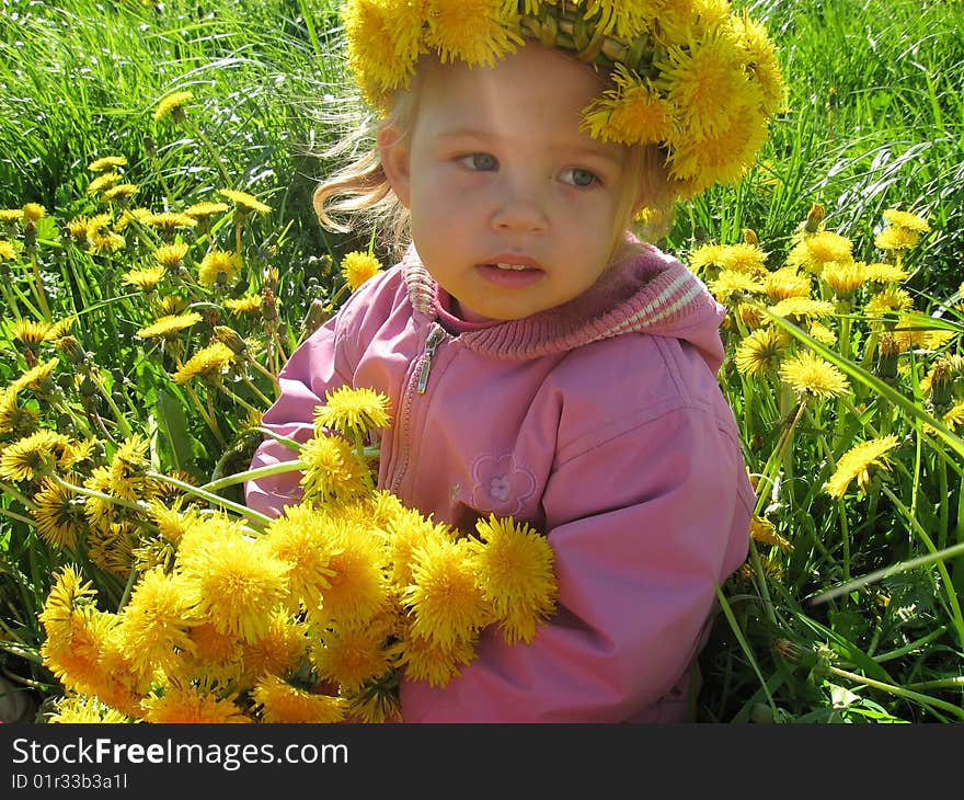 The girl at the spring in a meadow surrounded by dandelions. The girl at the spring in a meadow surrounded by dandelions