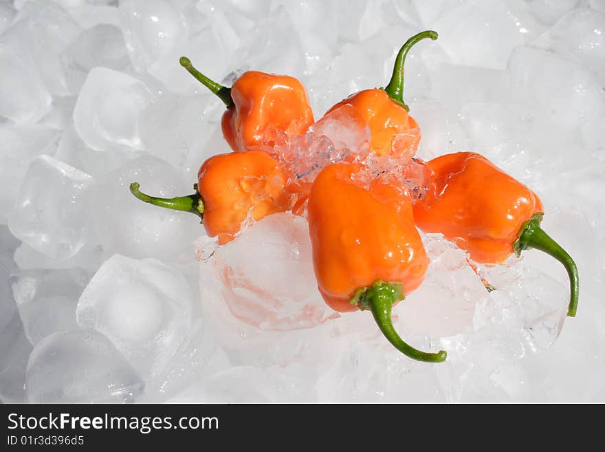 Chillies on Ice