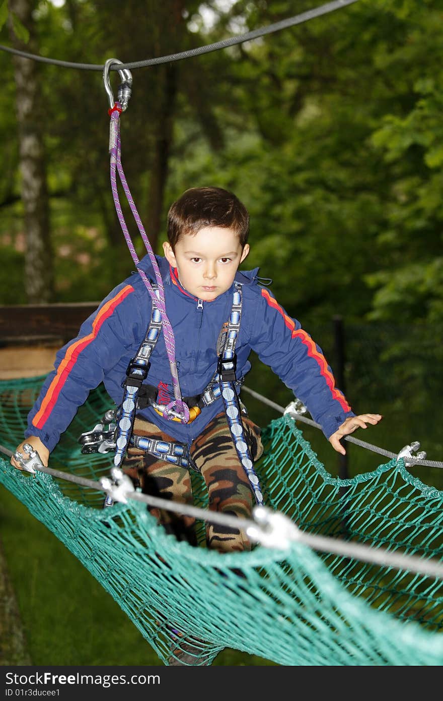 Summer time. Young boy climbing in the forest.