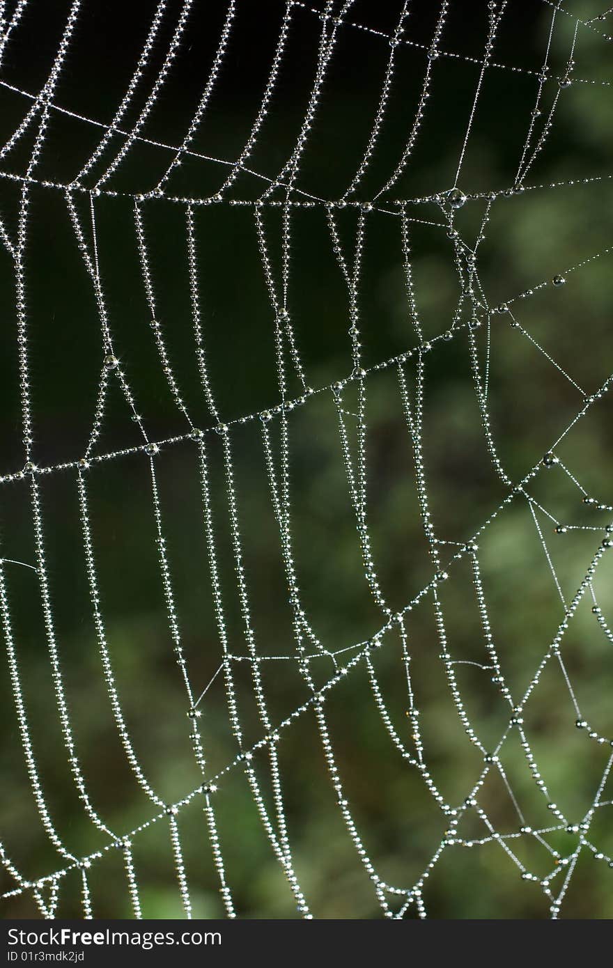 Natural beads