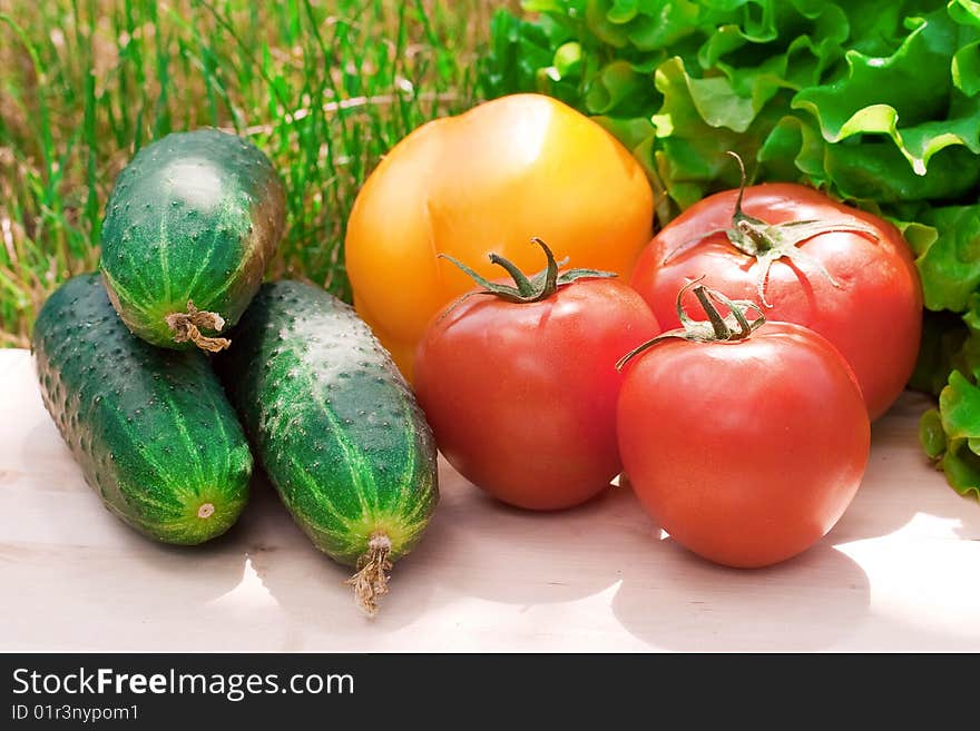 Healthy food on green grass background: tomatoes, cucumbers, sweet paper and leaves of lettuce