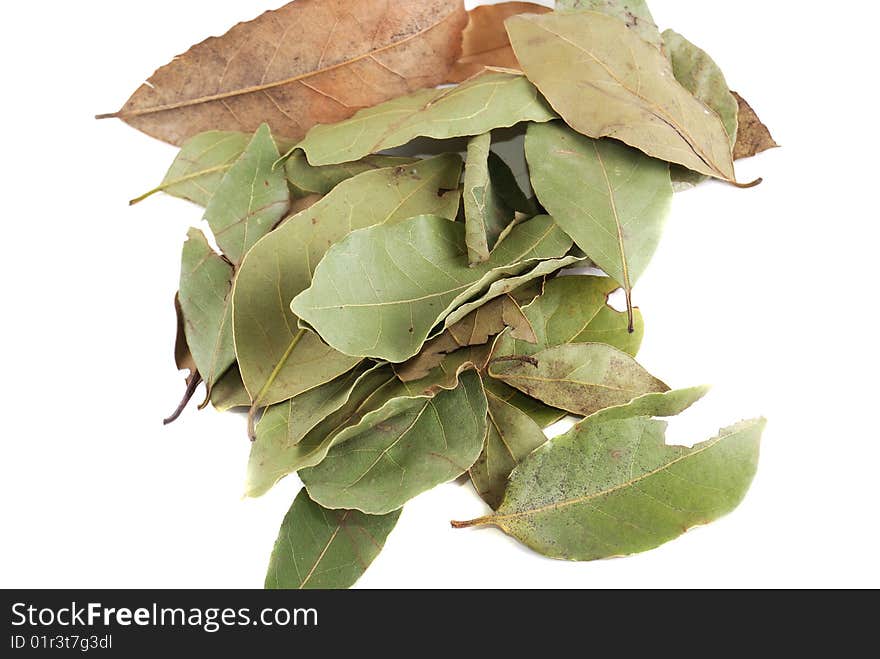 Laurel leaves