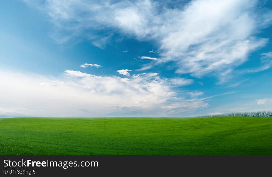 Photo of grass and blue sky