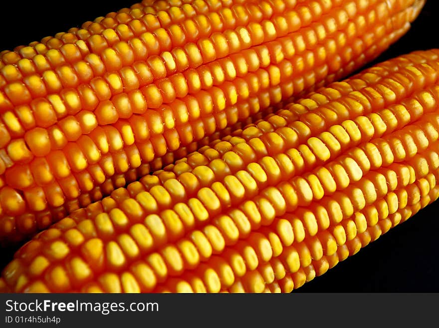 Corn in ears to industrial use. Corn in ears to industrial use