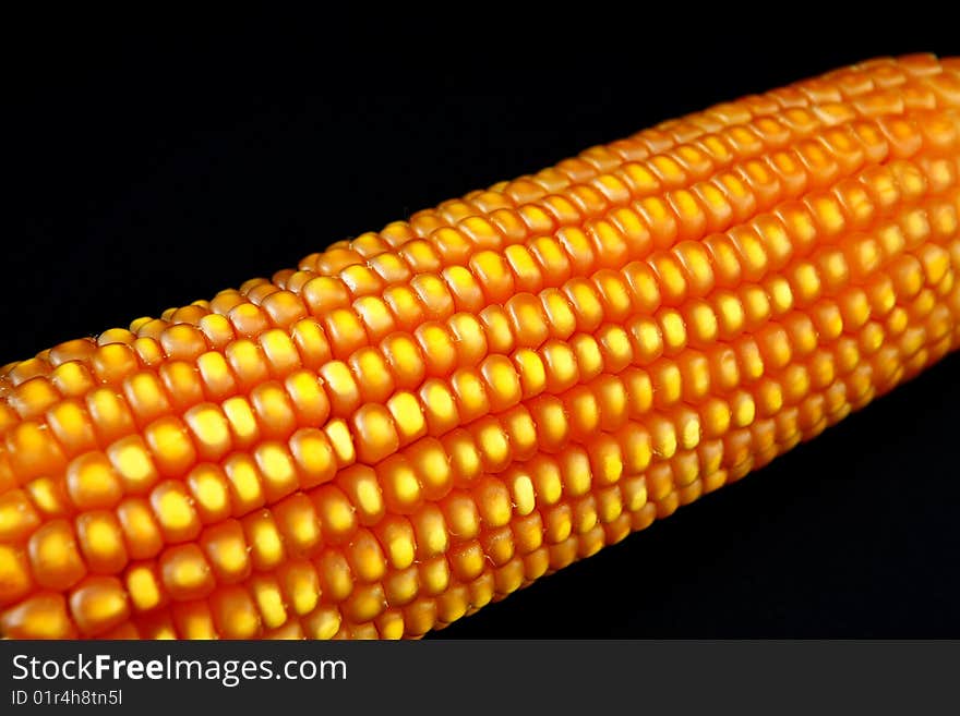 Corn in ears to industrial use. Corn in ears to industrial use