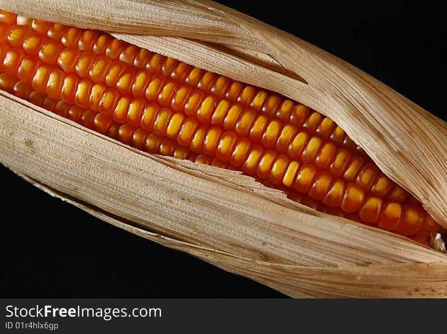 Corn in ears to industrial use. Corn in ears to industrial use