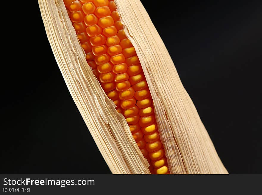 Corn on the cob