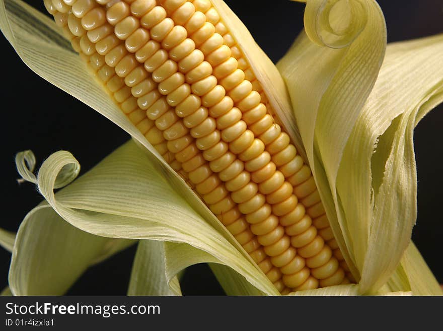 Corn in ears to industrial use