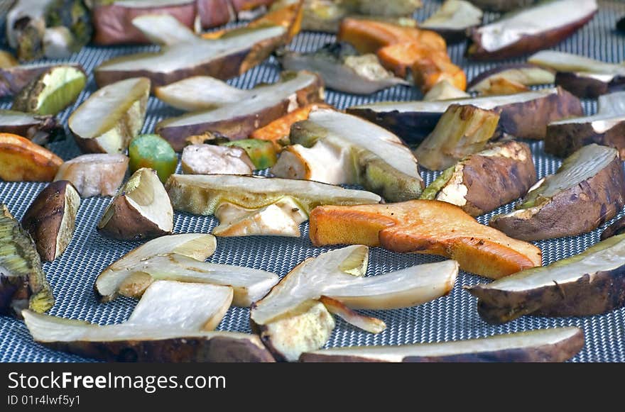 Mushrooms on the table