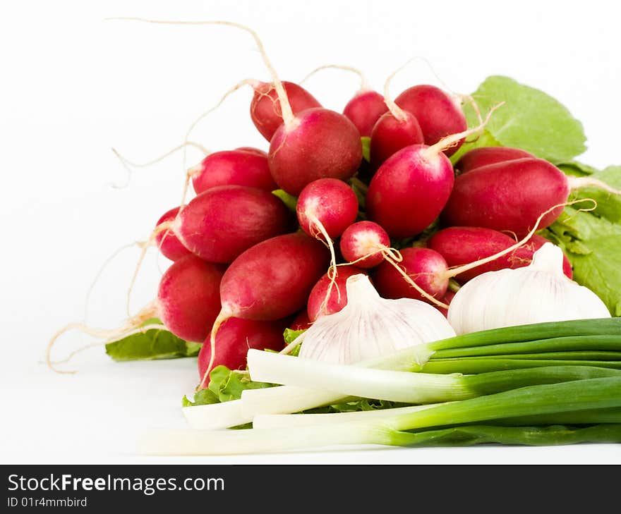 Spring onions, garlic, lettuce and radish bunch on the white background