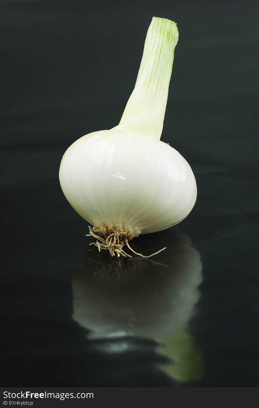 White onion on black background