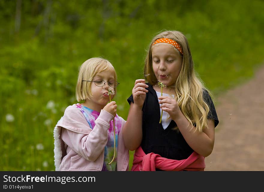 Sisters Dandelions