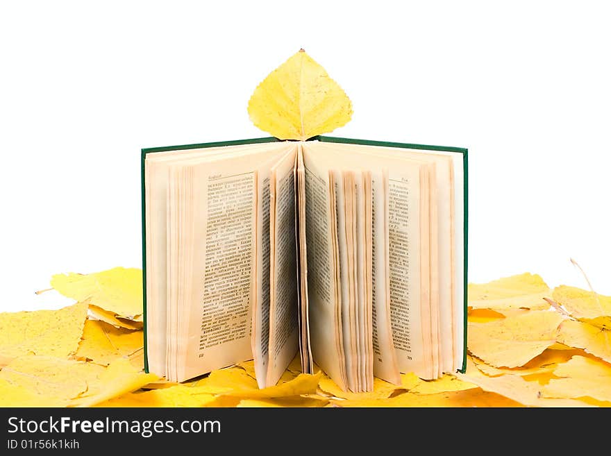 Open book on autumn leafs background