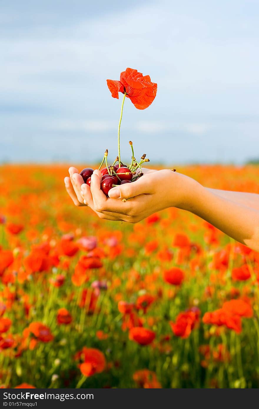 Hand with cherry and poppy on sky background