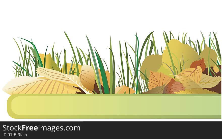 Vector banner with autumn leaves and green grass