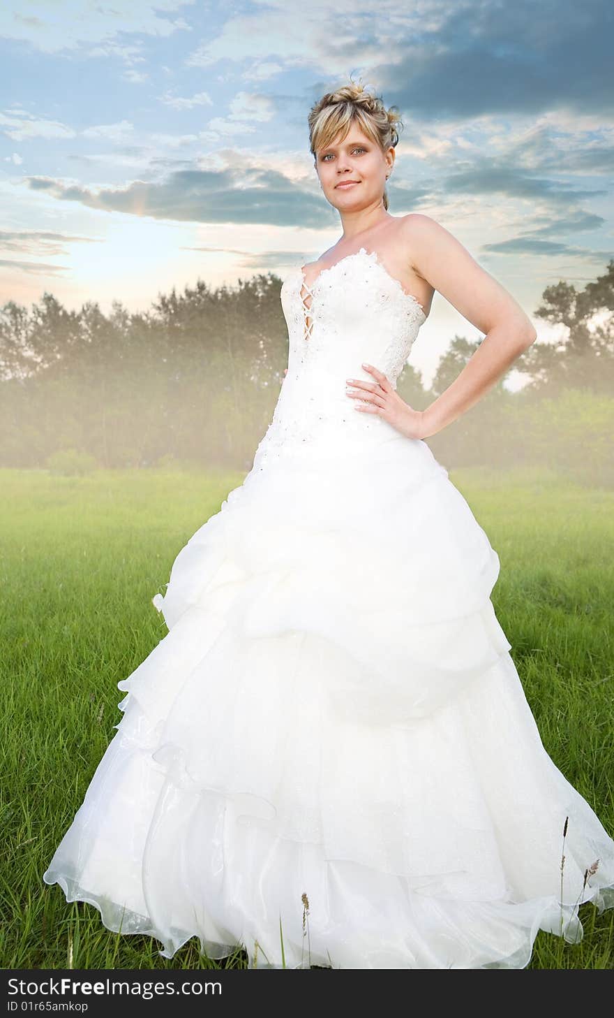 Beauty bride on green grass. Beauty bride on green grass