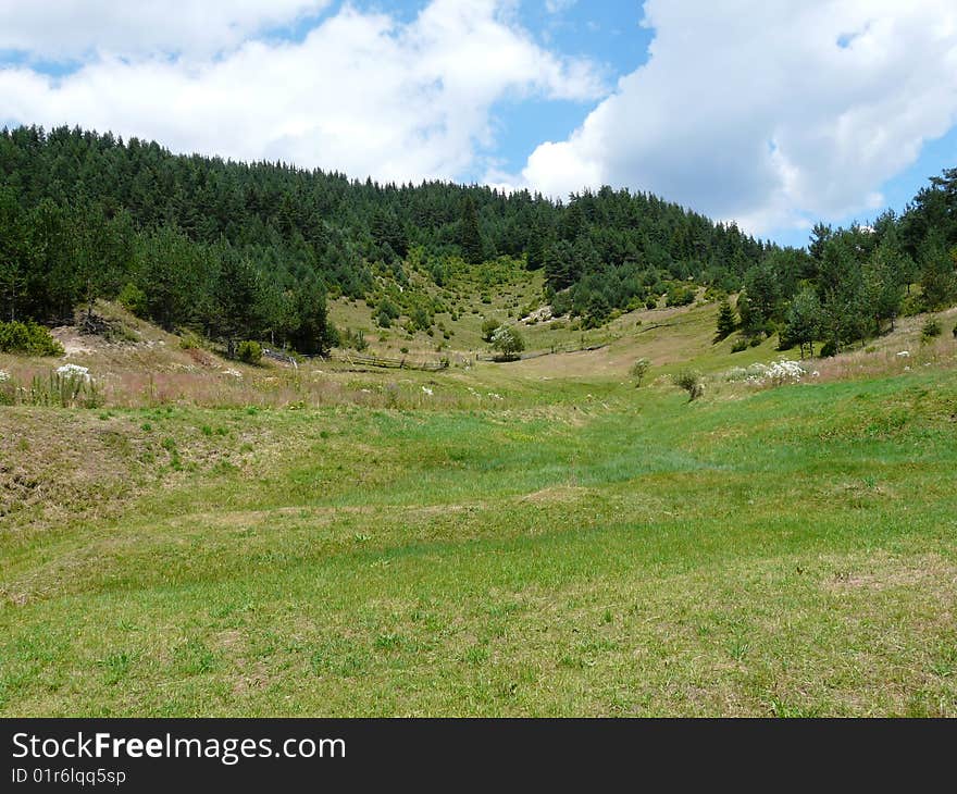 High in the Rhodopi mountain