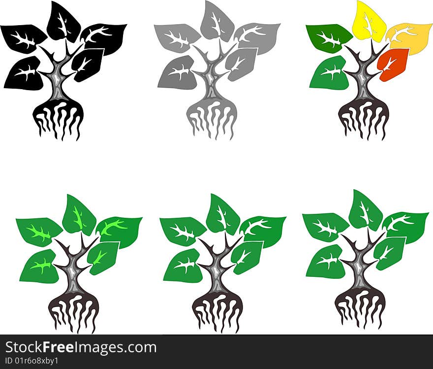 Plant with roots and leaves, colouring variants, the nature and a life