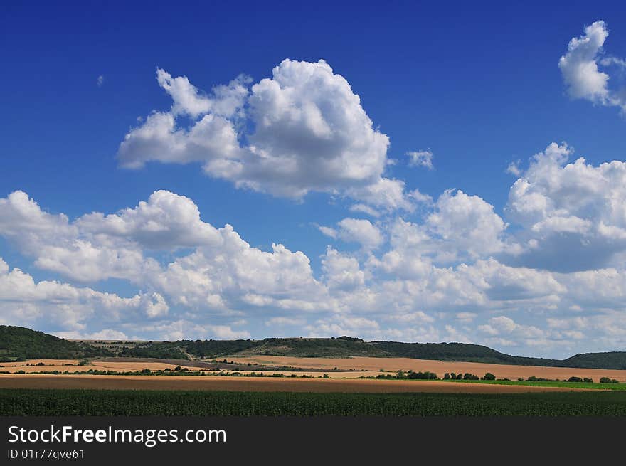 Green field and blue sky