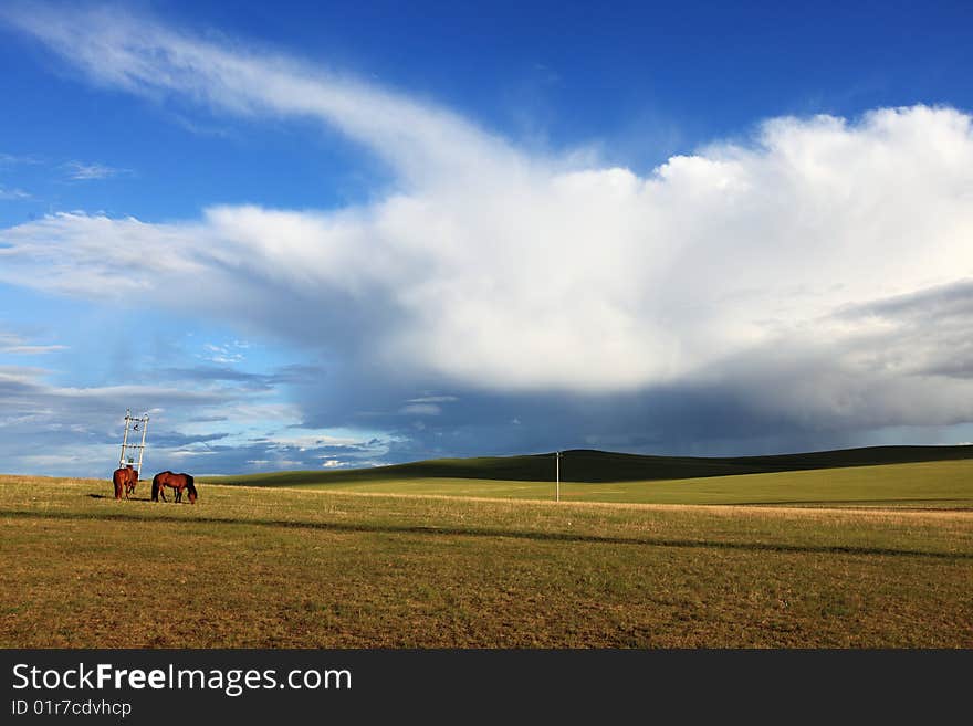 Grassland in neimenggu province of china