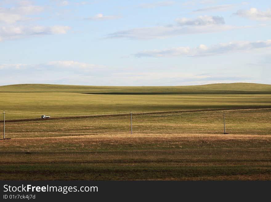 Grassland