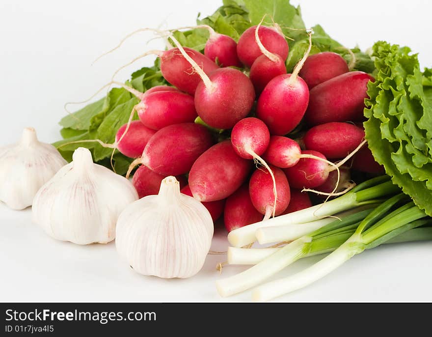 Spring onions, garlic, lettuce and radish bunch on the white background