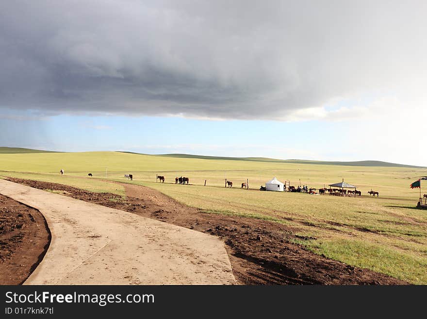 Road to grassland village,neimenggu province,china