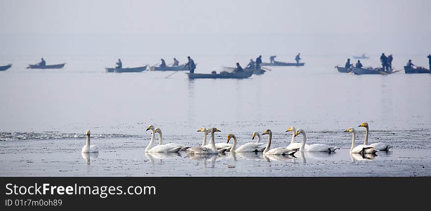 Harmonious human coexistence with wildlife. Harmonious human coexistence with wildlife