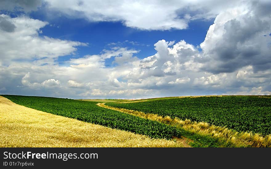 Beautiful landscape with blue sky and green grass