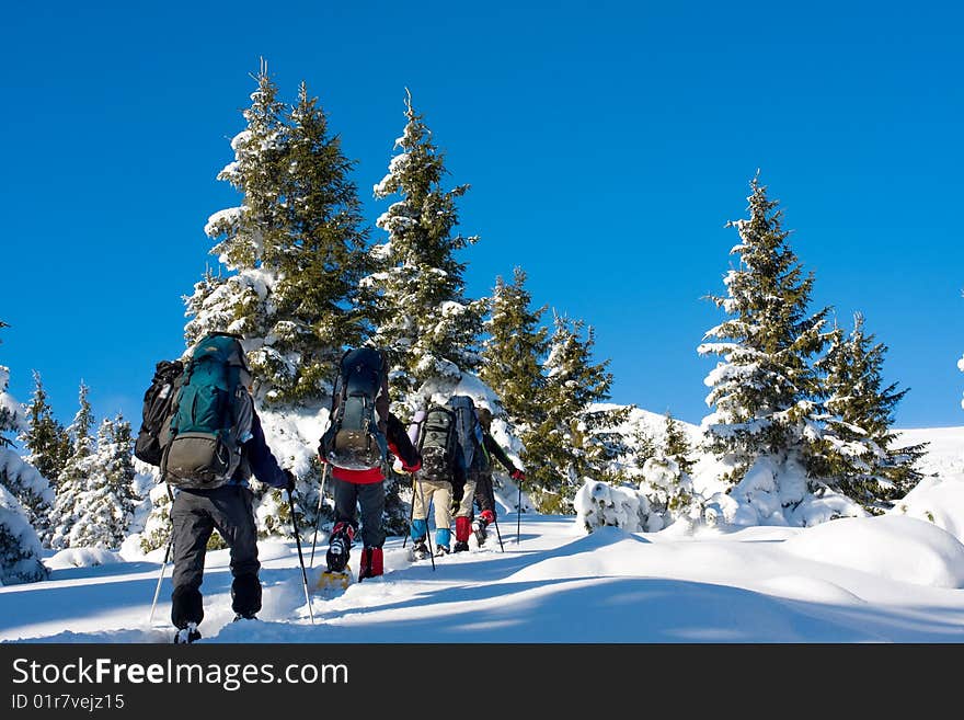 Hikers are in winter in mountains