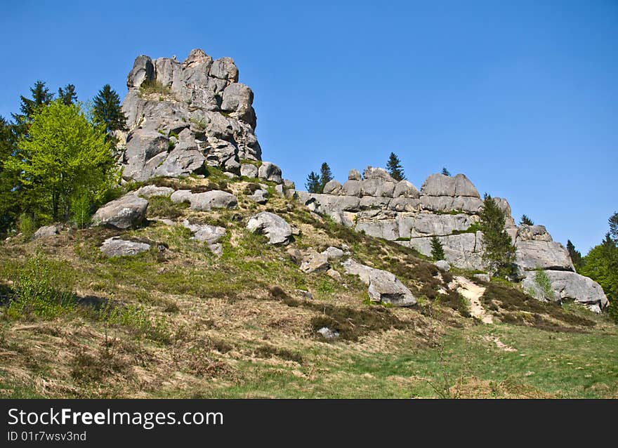 Rock and trees in summer. Rock and trees in summer