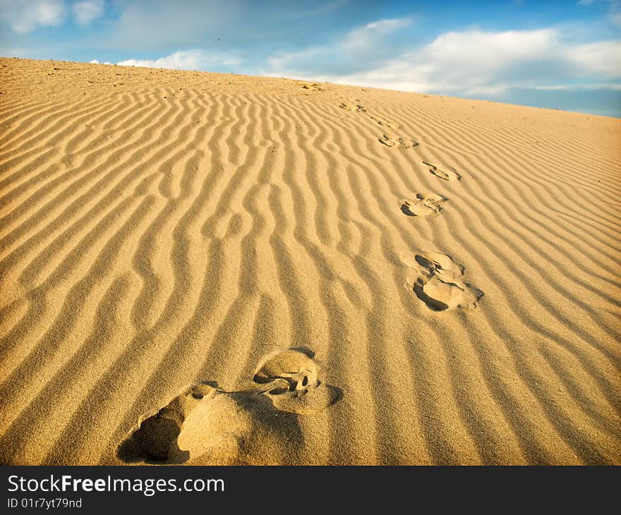 Beautiful landscape and the Sahara