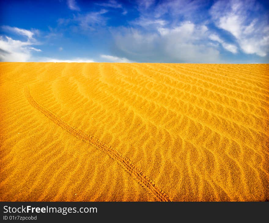 Beautiful sand dunes in the desert