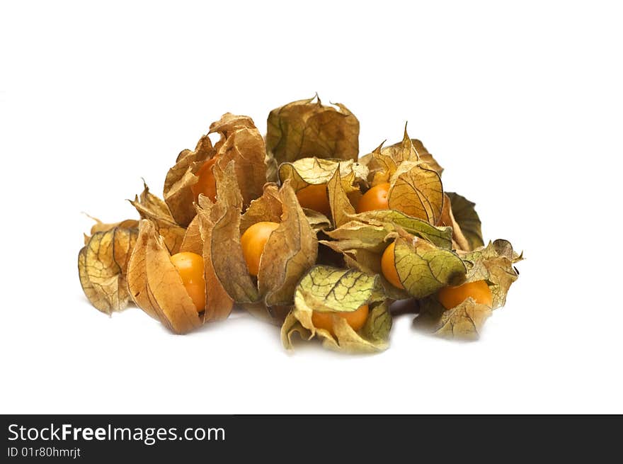 Physalis