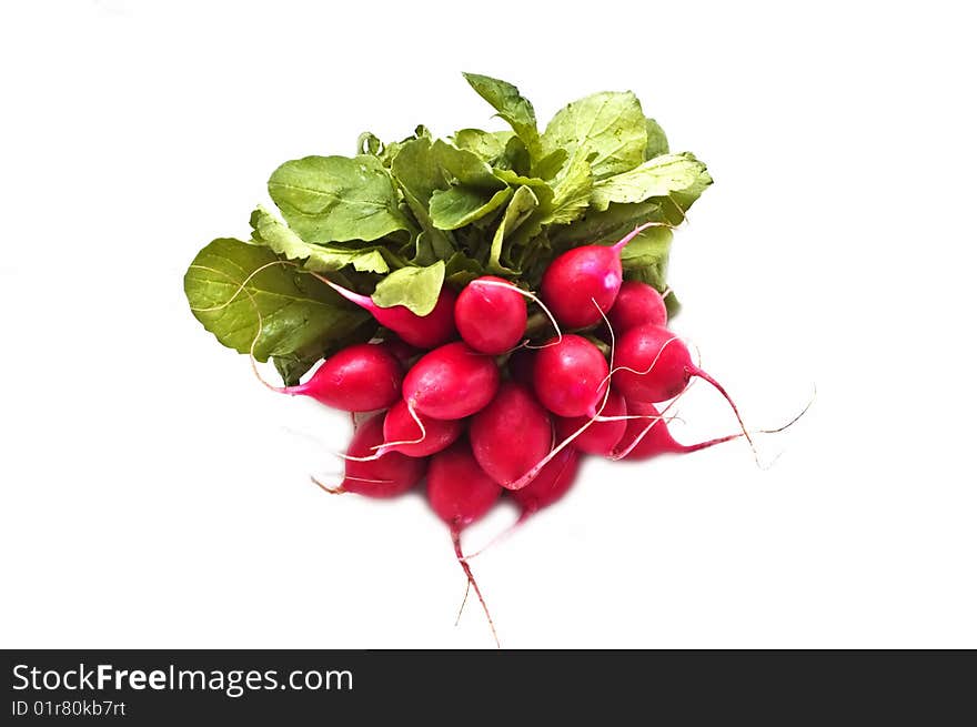 Bunch of fresh radish