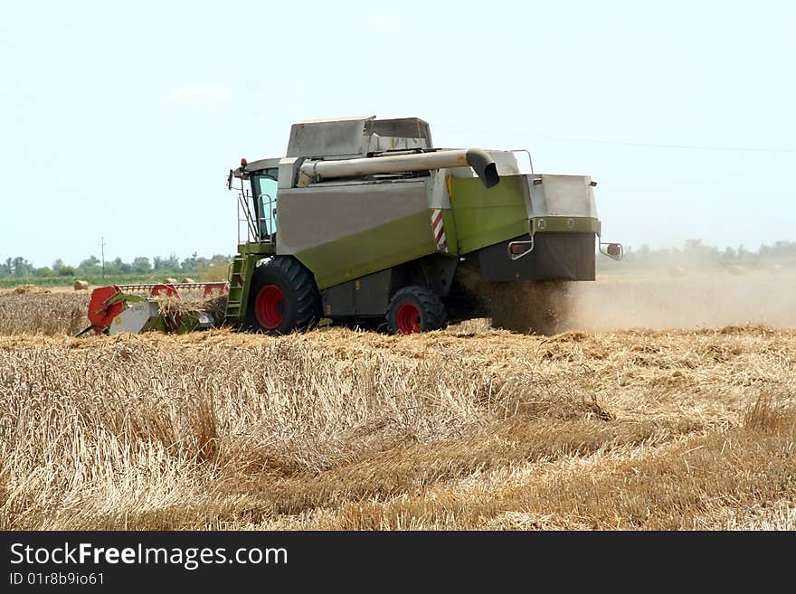 Harvesting the crop in the summer