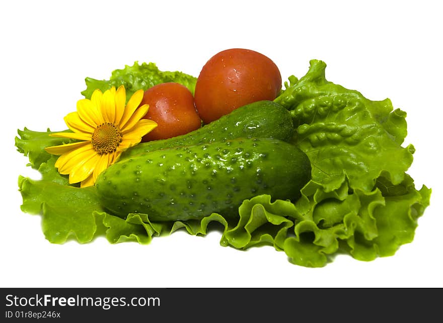 Tomatoes, cucumbers and salad