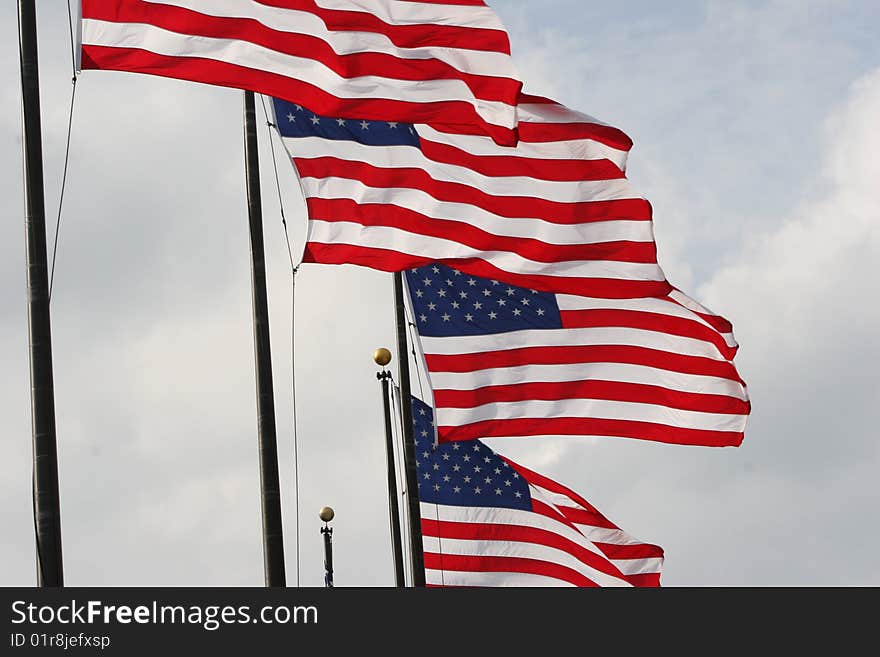 American flags blowing in the wind