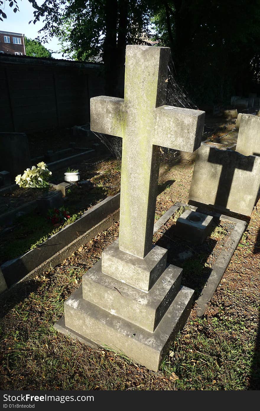 A Gravestone covered in spiderwebs. A Gravestone covered in spiderwebs.