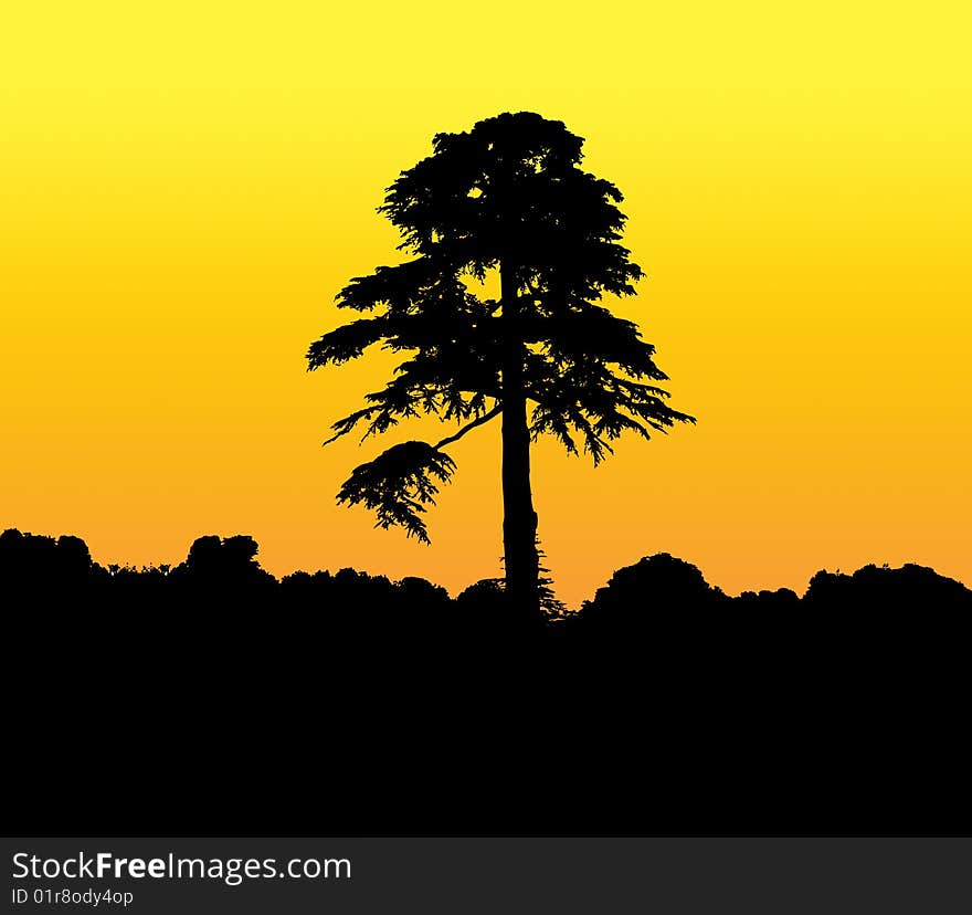 Illustrated silhouette of a tall tree. Illustrated silhouette of a tall tree.