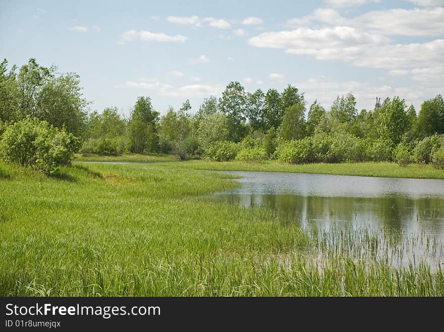 Sources of the of the taiga rivers of the Siberian edge. Sources of the of the taiga rivers of the Siberian edge